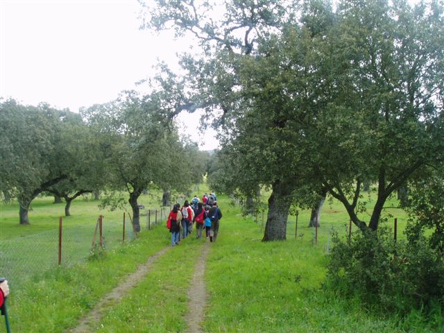 ruta LA PARRA 033